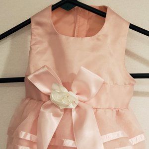 Pink Small Dog or Puppy Satin Dress